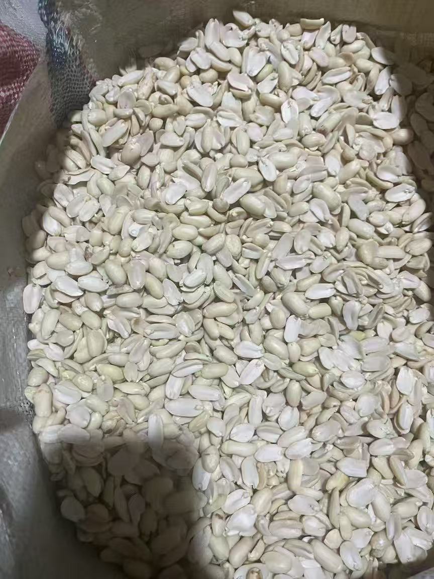 ���Ͽ������9616ɫѡ������װ���